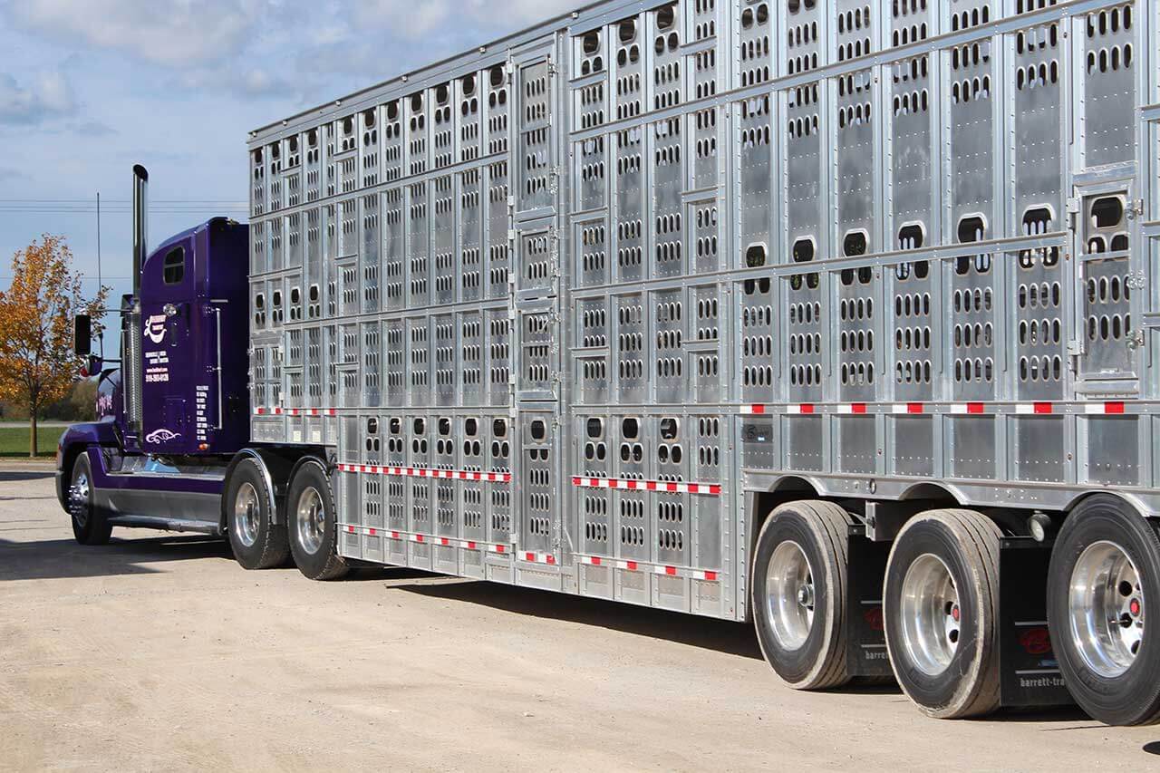 animals-on-the-move