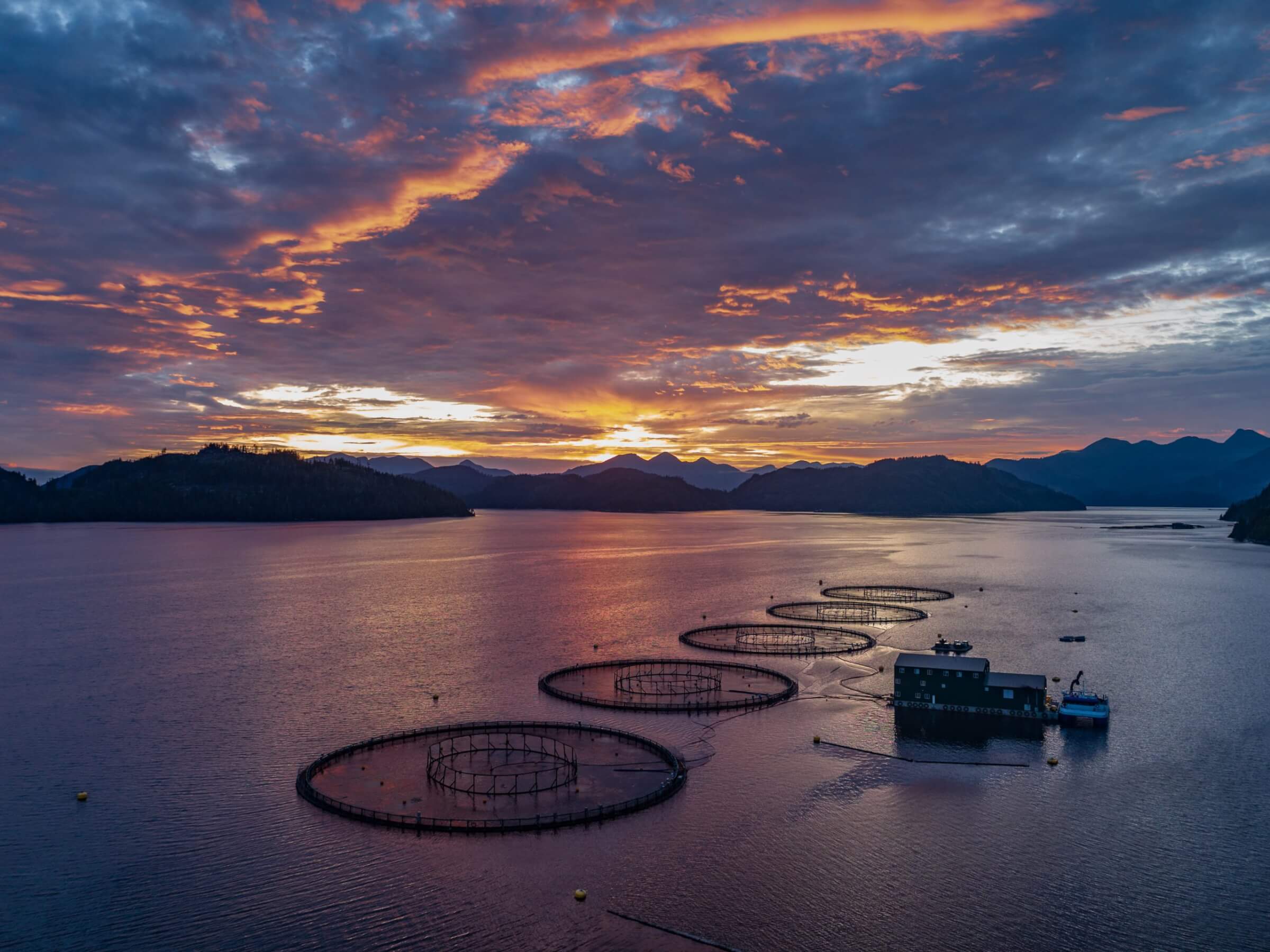 Atlantic salmon farm off the coast of British Columbia