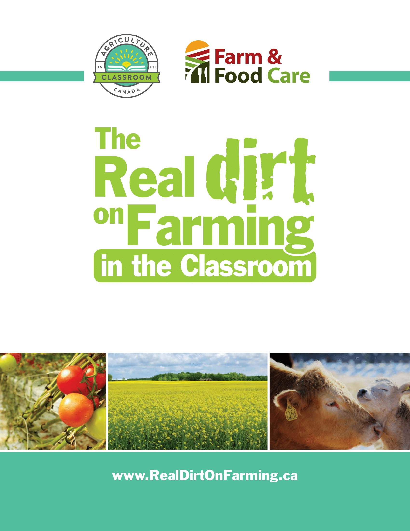 AITC EDITS – RealDirt Teachers Guide-LR6 (2)-1-1
