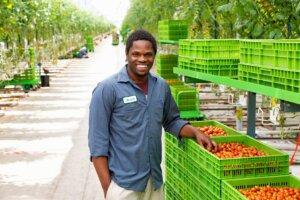 greenhouse worker