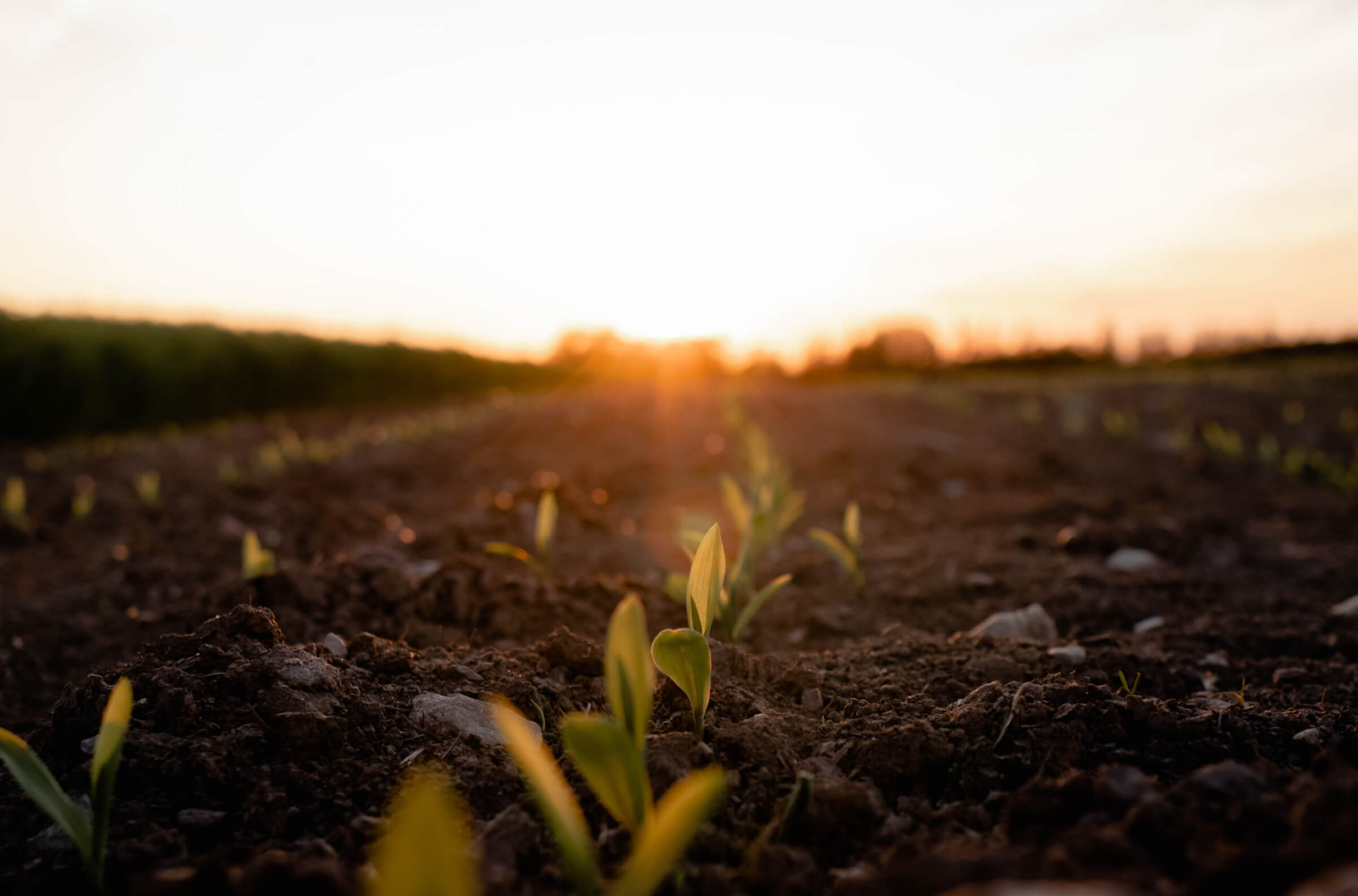 the-bottom-line-feeding-canadians-sustainably