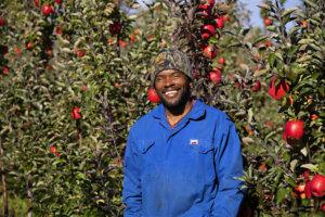 apple orchard worker