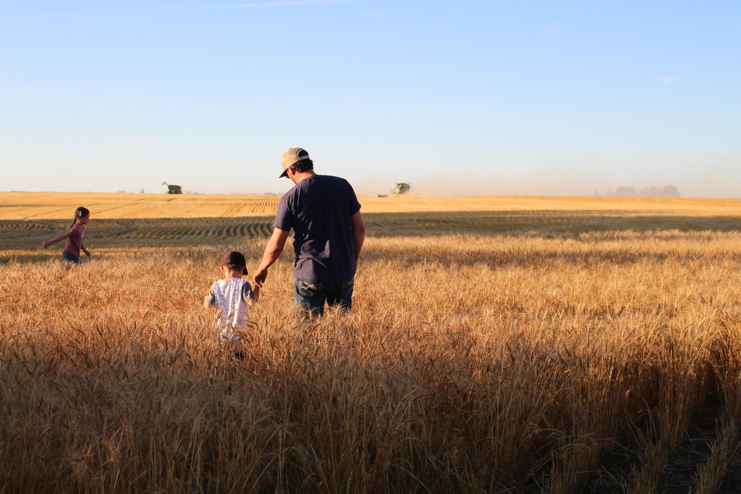 canadian-farms-and-farmers-who-is-growing-our-food