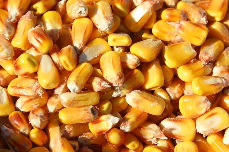 corn-soybeans-and-cereals