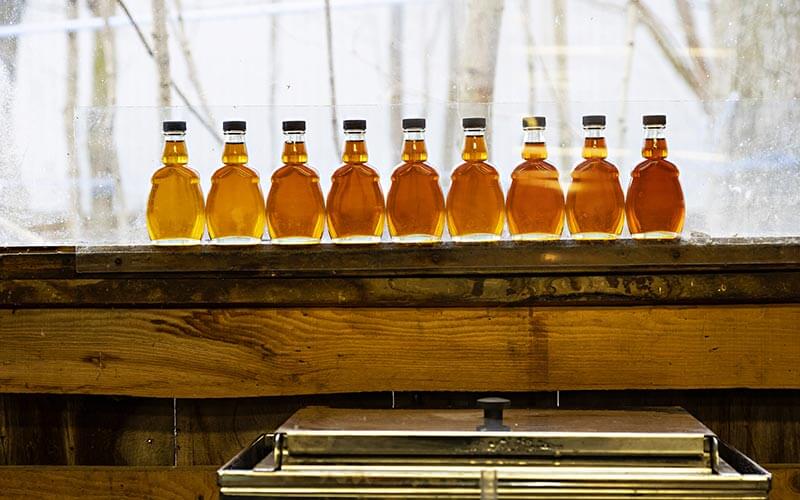 maple-syrup-the-ultimate-canadian-crop