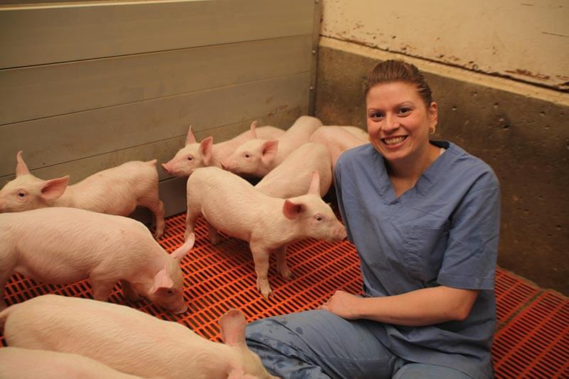 on-farm-animal-care-assesments