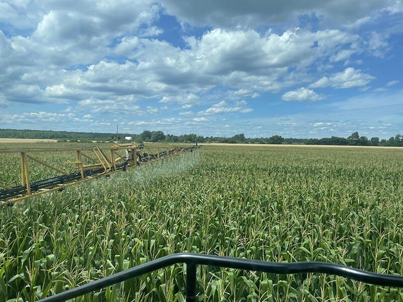 pesticide-residues